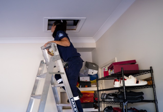 RSPCA inspector climbing into roof